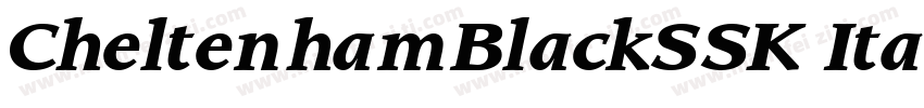 CheltenhamBlackSSK Italic字体转换